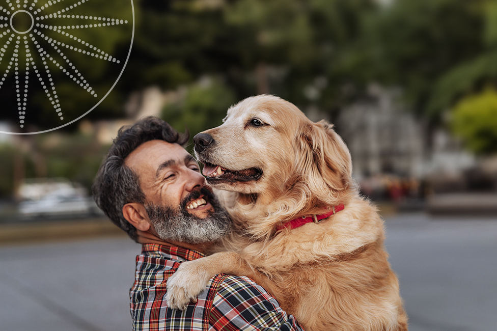 middle-aged male hugging a very large golden retriever